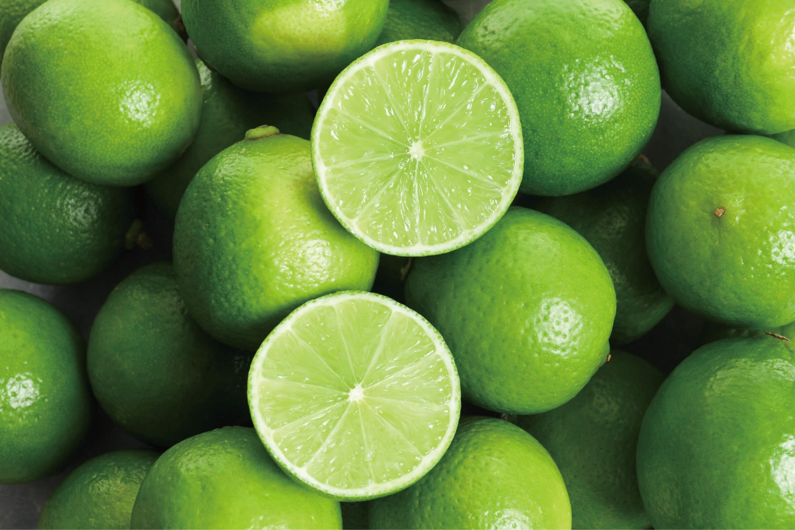 居住支援センターについて